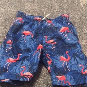 Flamingo Print Kids Swim Trunks - Blue and Pink